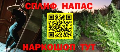 гидра Рузаевка