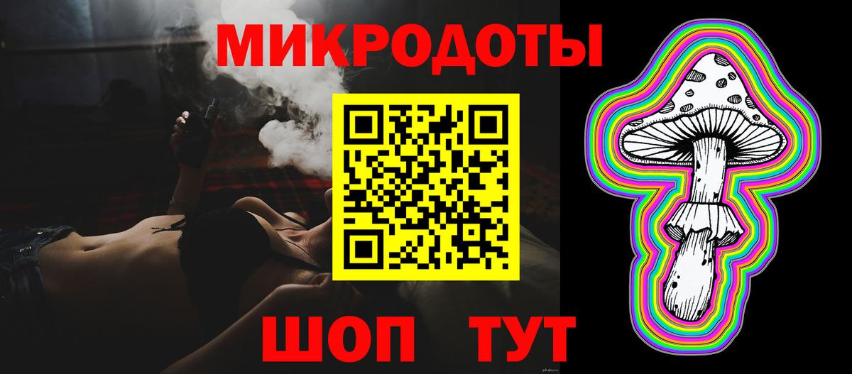 Псилоцибиновые грибы Psilocybe Омск